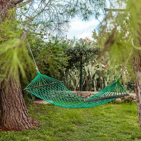 Salinola * Ostuni