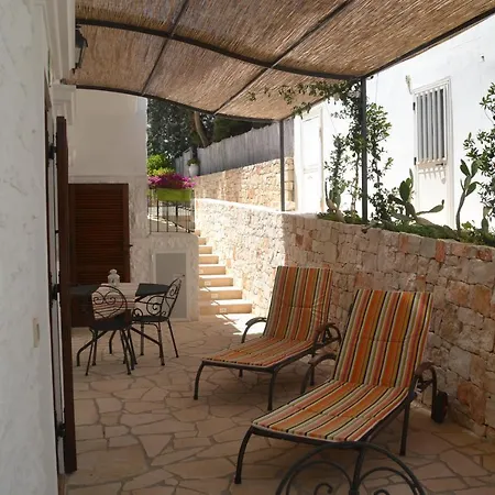 Salinola 팜스테이