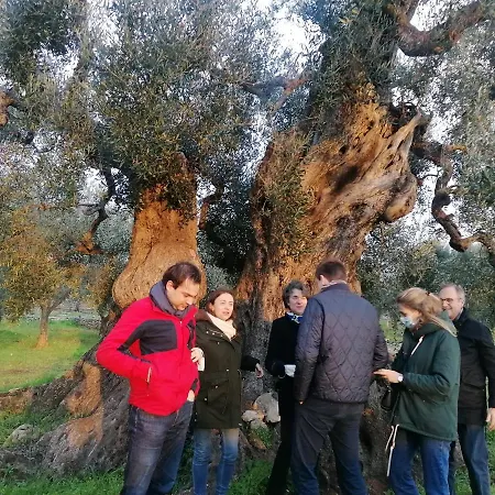 Salinola Ostuni