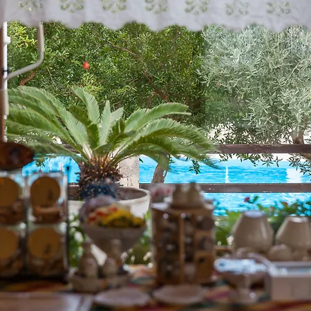 Salinola 오스투니