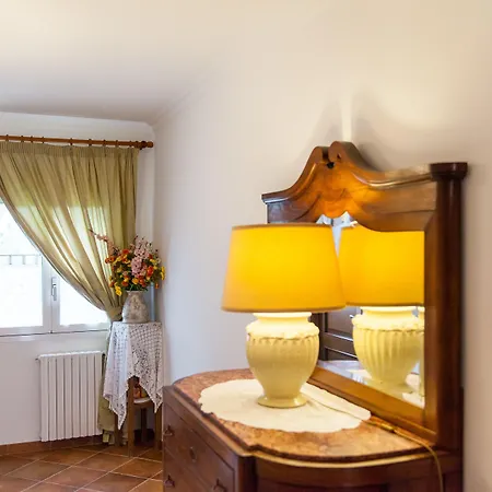 Salinola * 오스투니