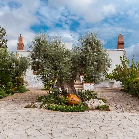 팜스테이 Salinola