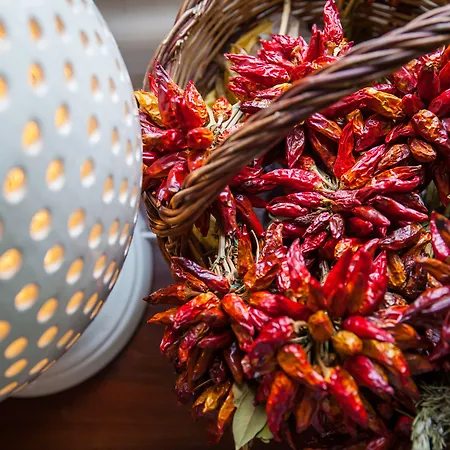 팜스테이 Salinola *