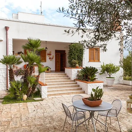 팜스테이 Salinola *