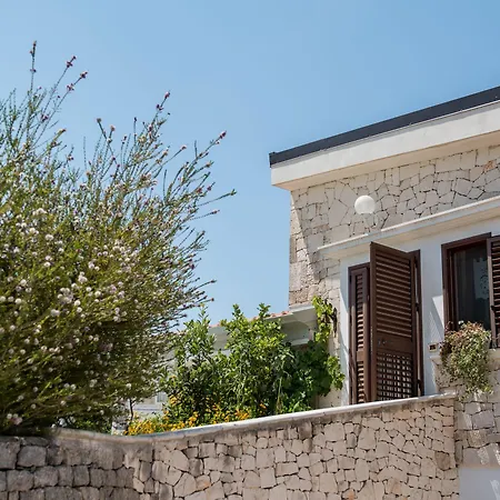 Salinola 팜스테이 *