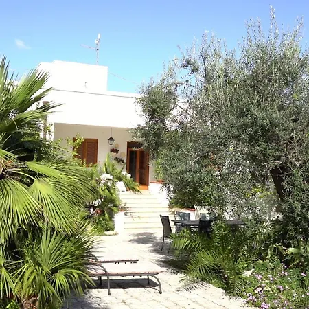 Salinola 팜스테이