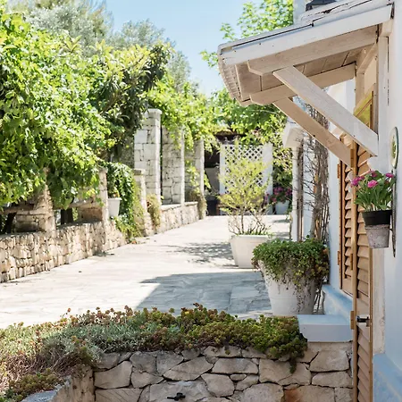 Salinola Farm stay
