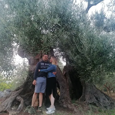 Salinola * Ostuni