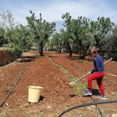 Farm stay Salinola Ostuni