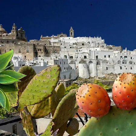 Salinola Ostuni