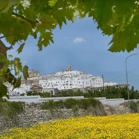 Salinola Κατάλυμα σε φάρμα *