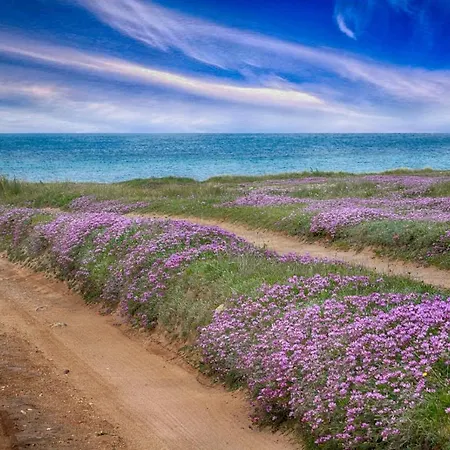 Salinola 팜스테이