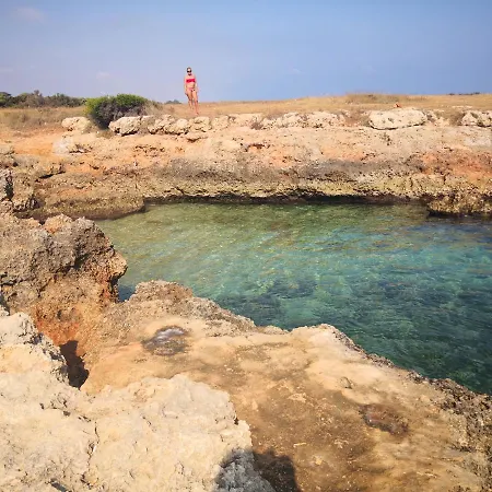 Salinola 팜스테이