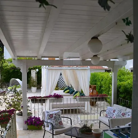 팜스테이 Salinola *