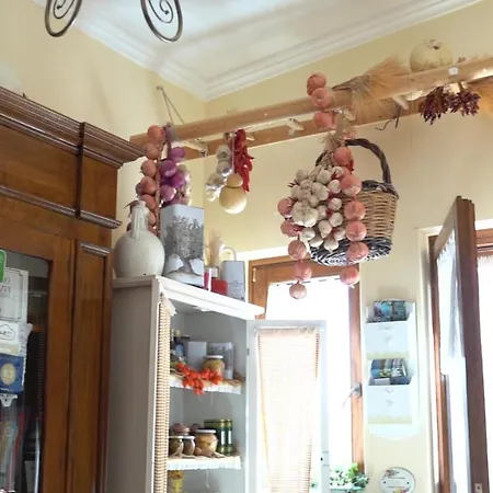 팜스테이 Salinola