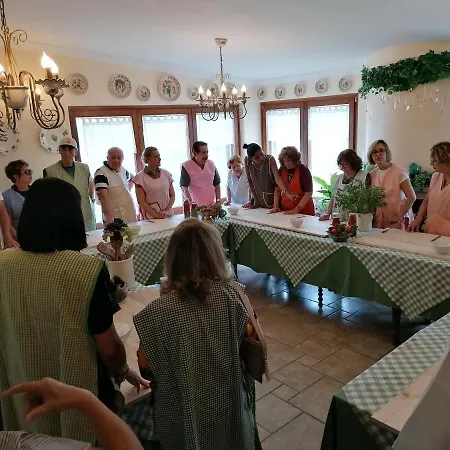 Salinola 오스투니