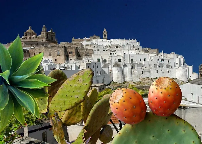 Salinola Ostuni