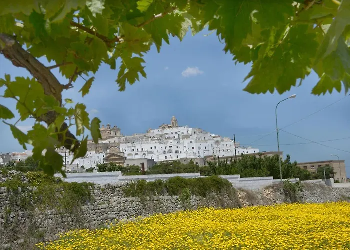 Salinola Feriegård *